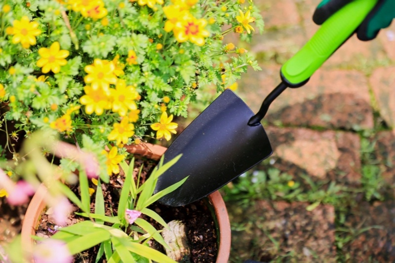 Recommended Garden Saw Tools for Home Use