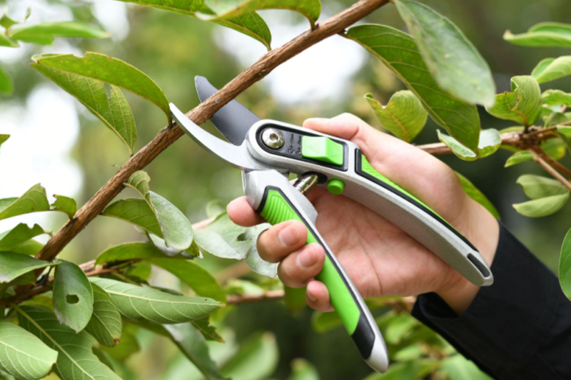 garden shear manufacturer 14.png