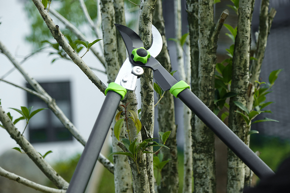 hand lopper application2