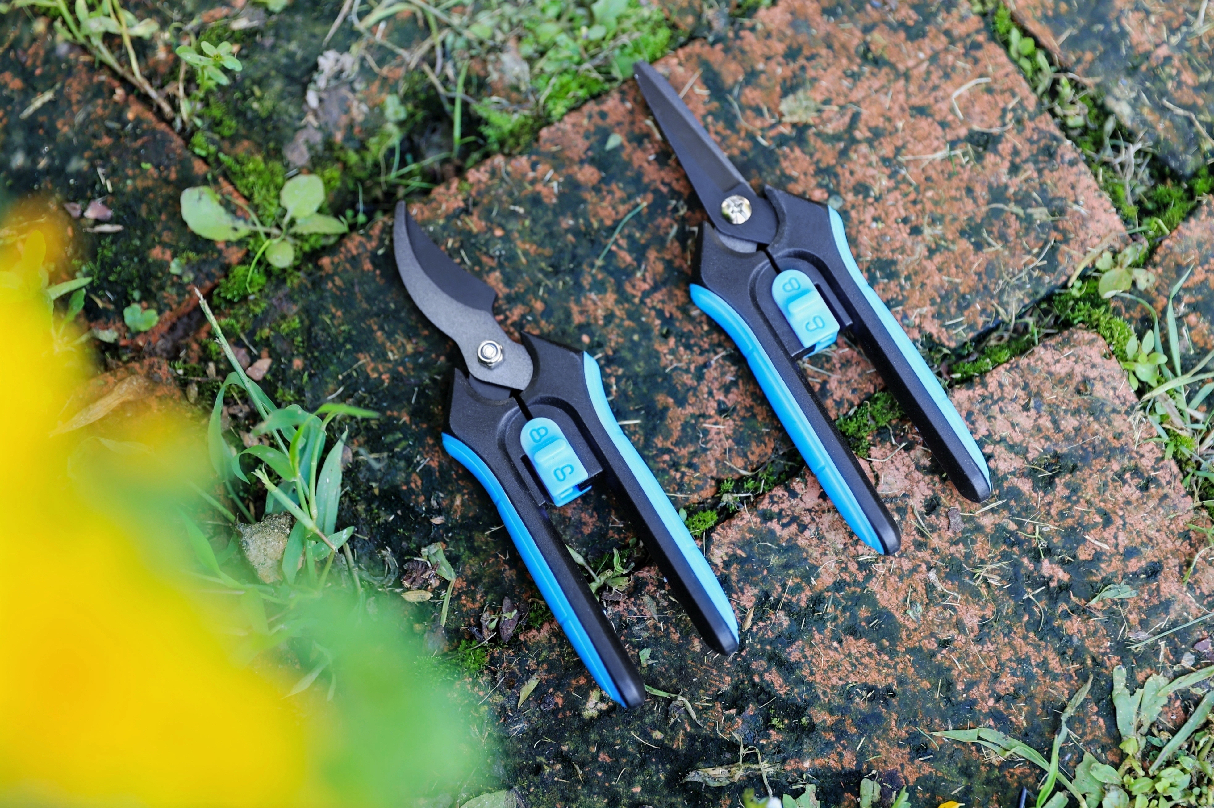 hand pruner application3