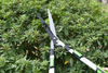 Professional Telescopic Hedge Shears Gear-Driven 6MM Capacity Extendable Aluminum Pole
