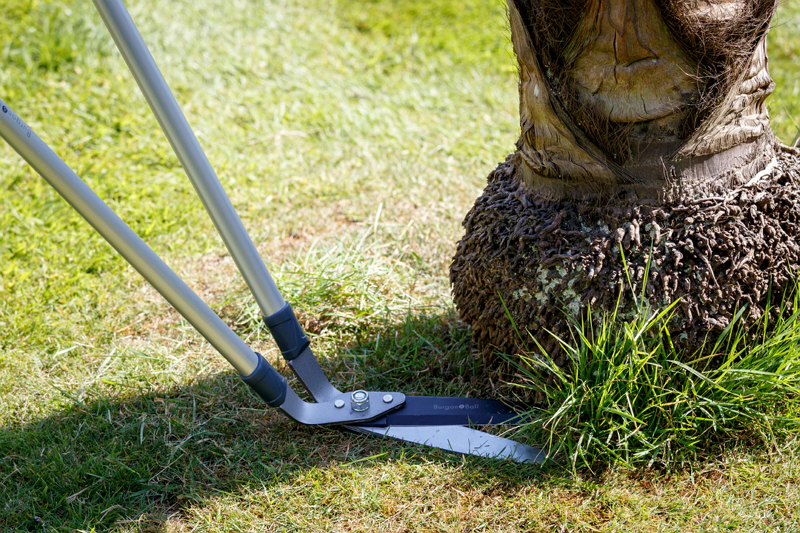 What Important Role Do Lawn Shears Play in Detailing?