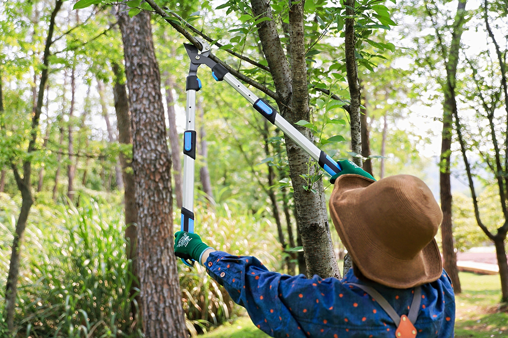 hand pruner application1