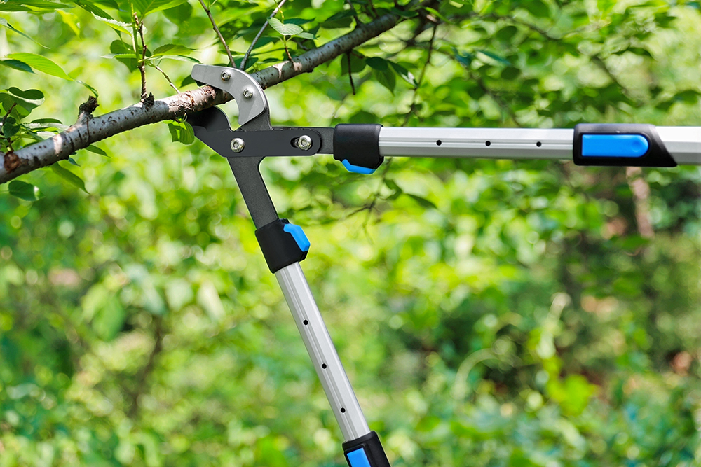 hand pruner application1