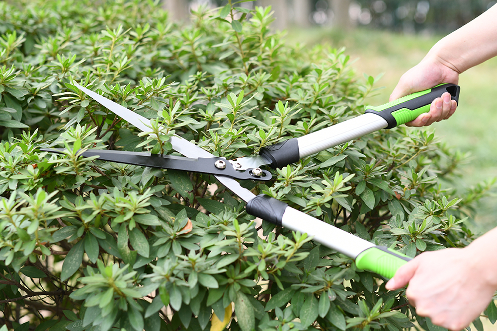 hand pruner application1