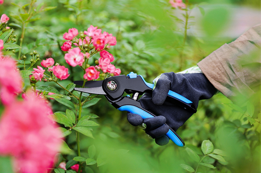 hand pruner application1