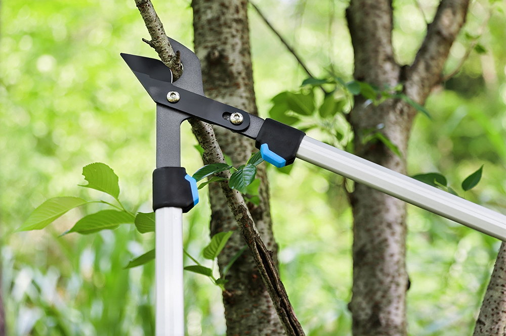 hand pruner application1