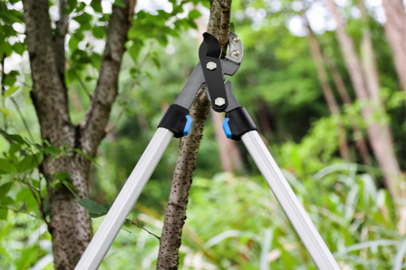 What Tools Should A Practical Garden Tool Set Include?