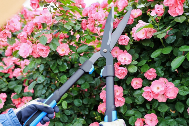 Why Are Pruning Shears An Essential Tool for Farmers And Horticulturists?