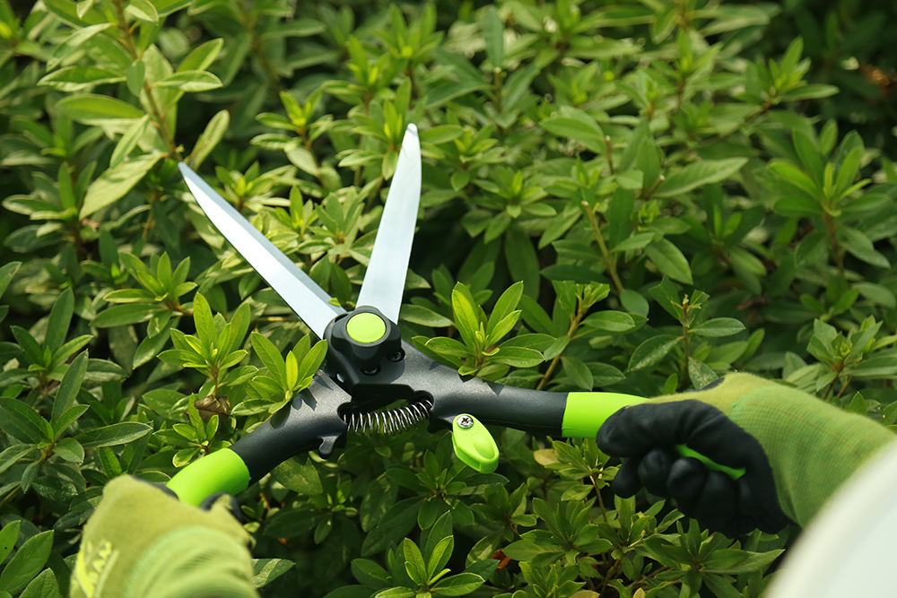 Hedge shear application1