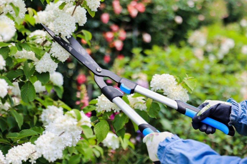 Analysis of Common Materials in Garden Tool Sets