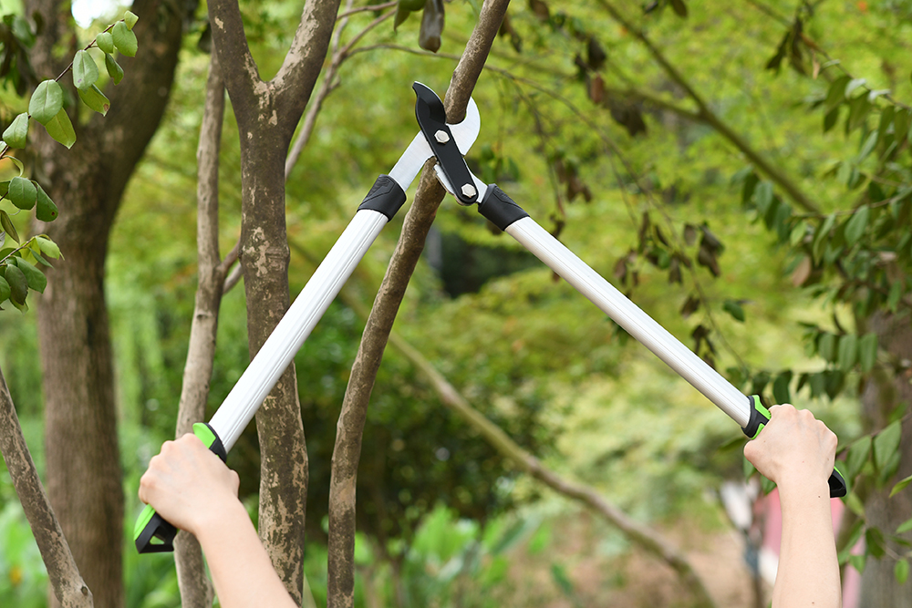 hand lopper application1