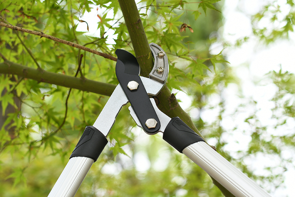 hand lopper application1