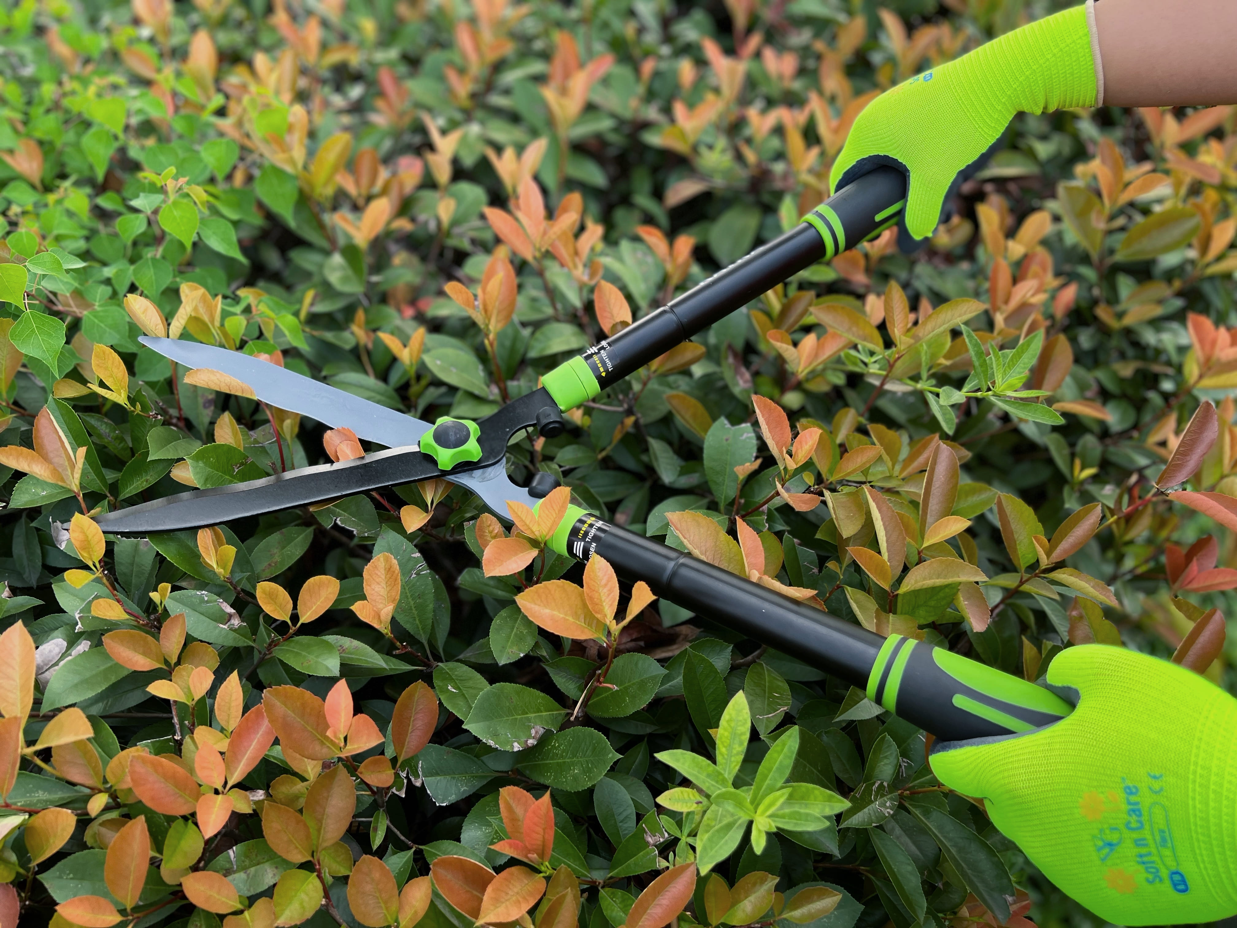 RH320456 telescopic hedge shear4 (1)