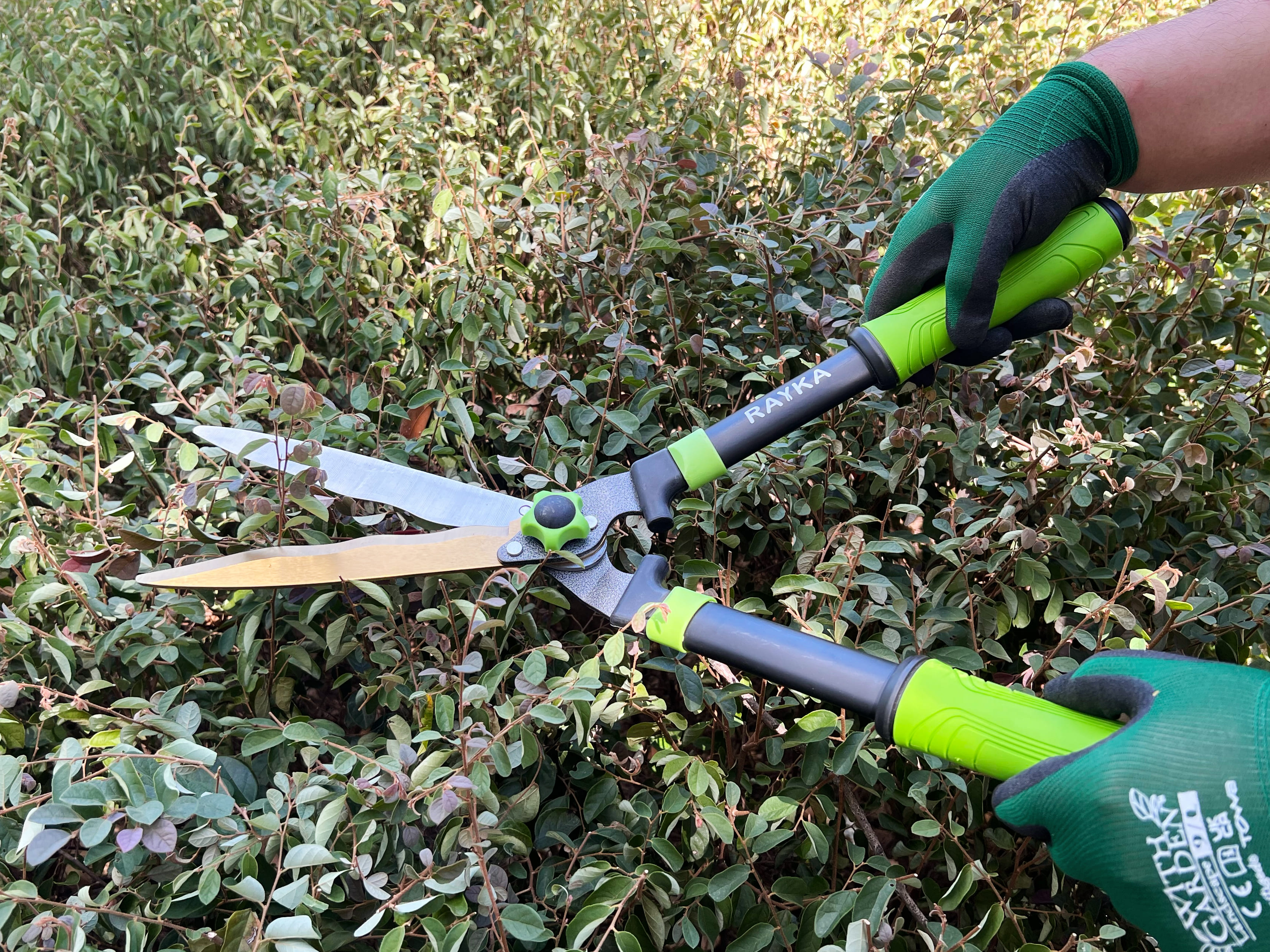 RH340335 hedge shear