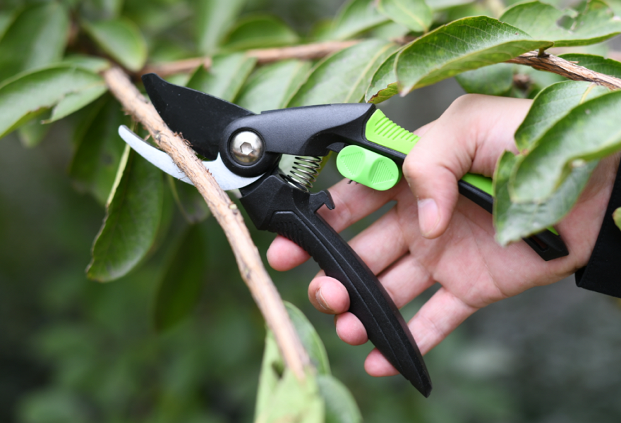 hand pruner application1