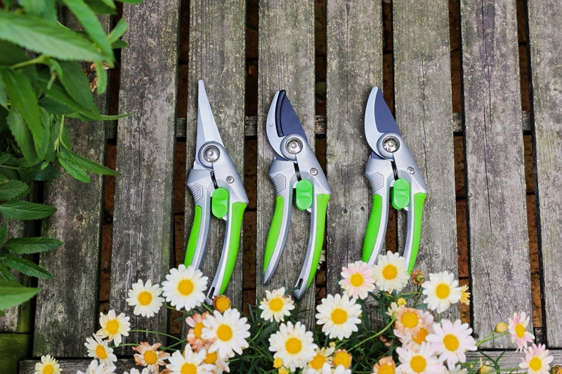 Five Most Commonly Used Gardening Tools for Beginners And Their Functions