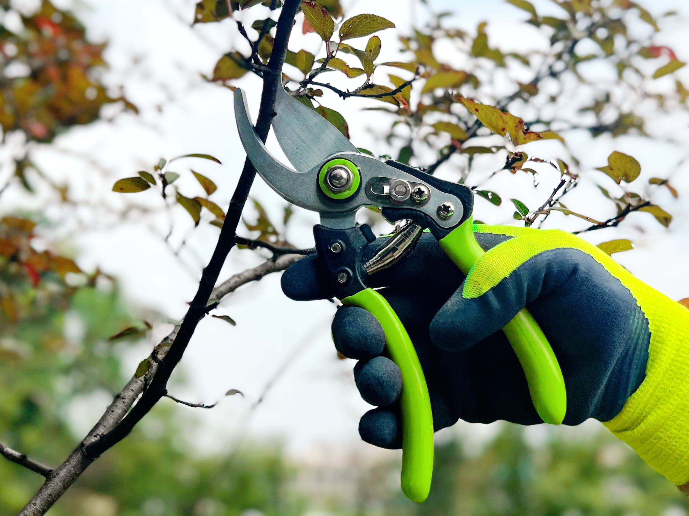 hand pruner application1