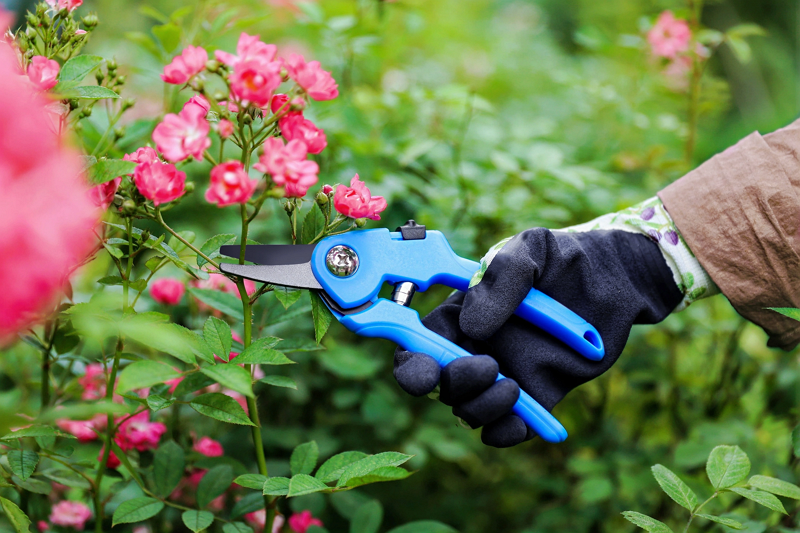 Age-Friendly Design Trends in Gardening Tools in An Aging Society