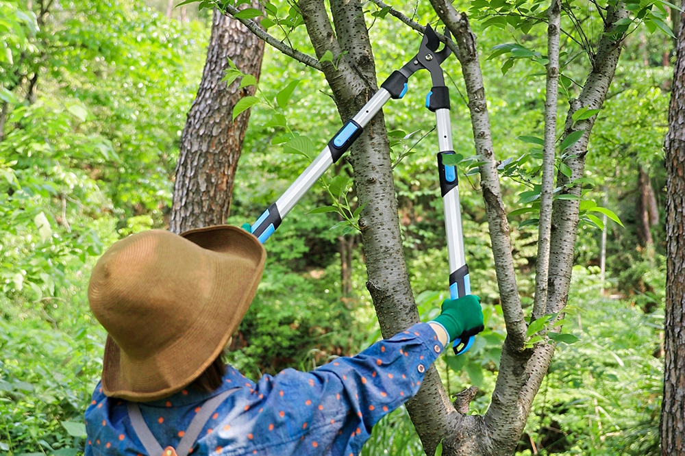 hand pruner application1