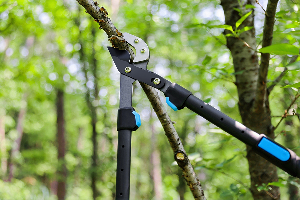 hand pruner application1