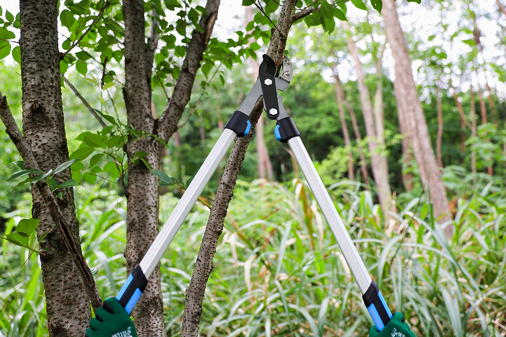 hand pruner application1