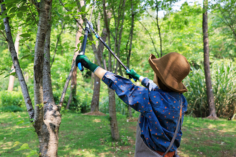 hand pruner application1