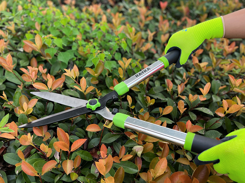 RH312128 Hedge shear5