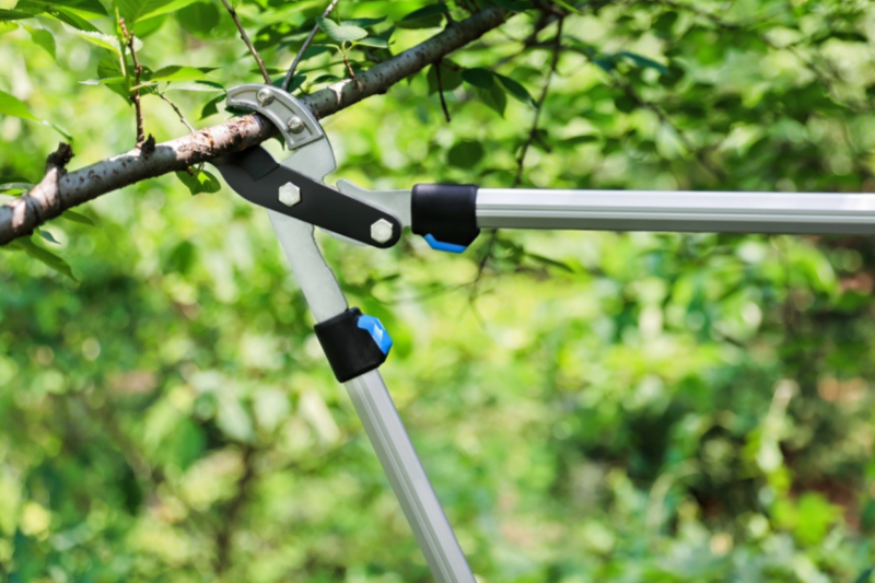 Which Usage Habits Easily Shorten The Lifespan of Pruning Shears?
