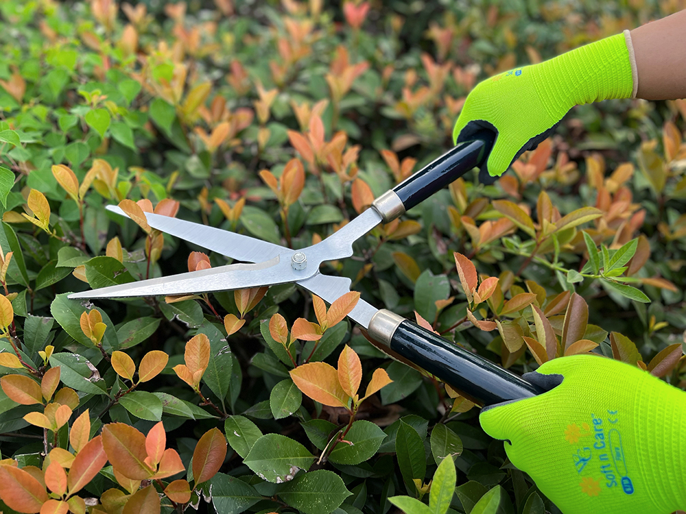 Hedge shear application1