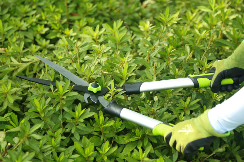 Advantages of Hedge Shears in The Greening Projects of Parks And Schools