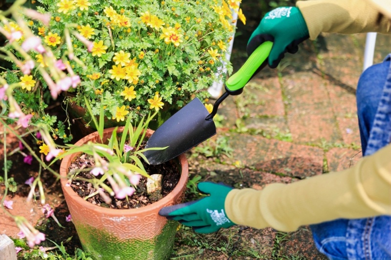 How To Choose The Right Gardening Tool Set Based on Garden Size?