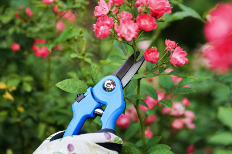 garden shear manufacturer 11.png