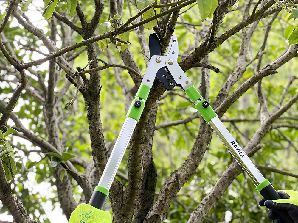 hand lopper application2