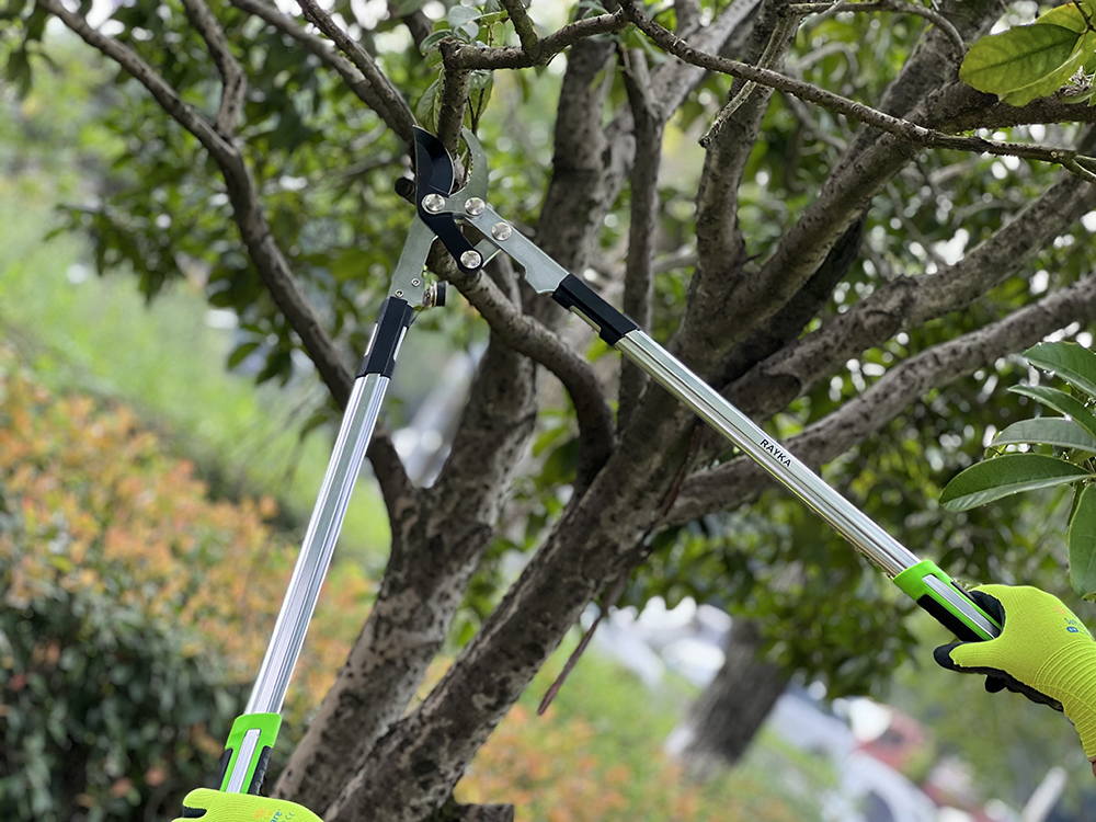 hand lopper application1