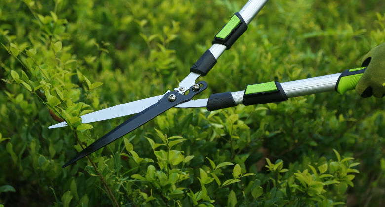 Green-Product-Highlights