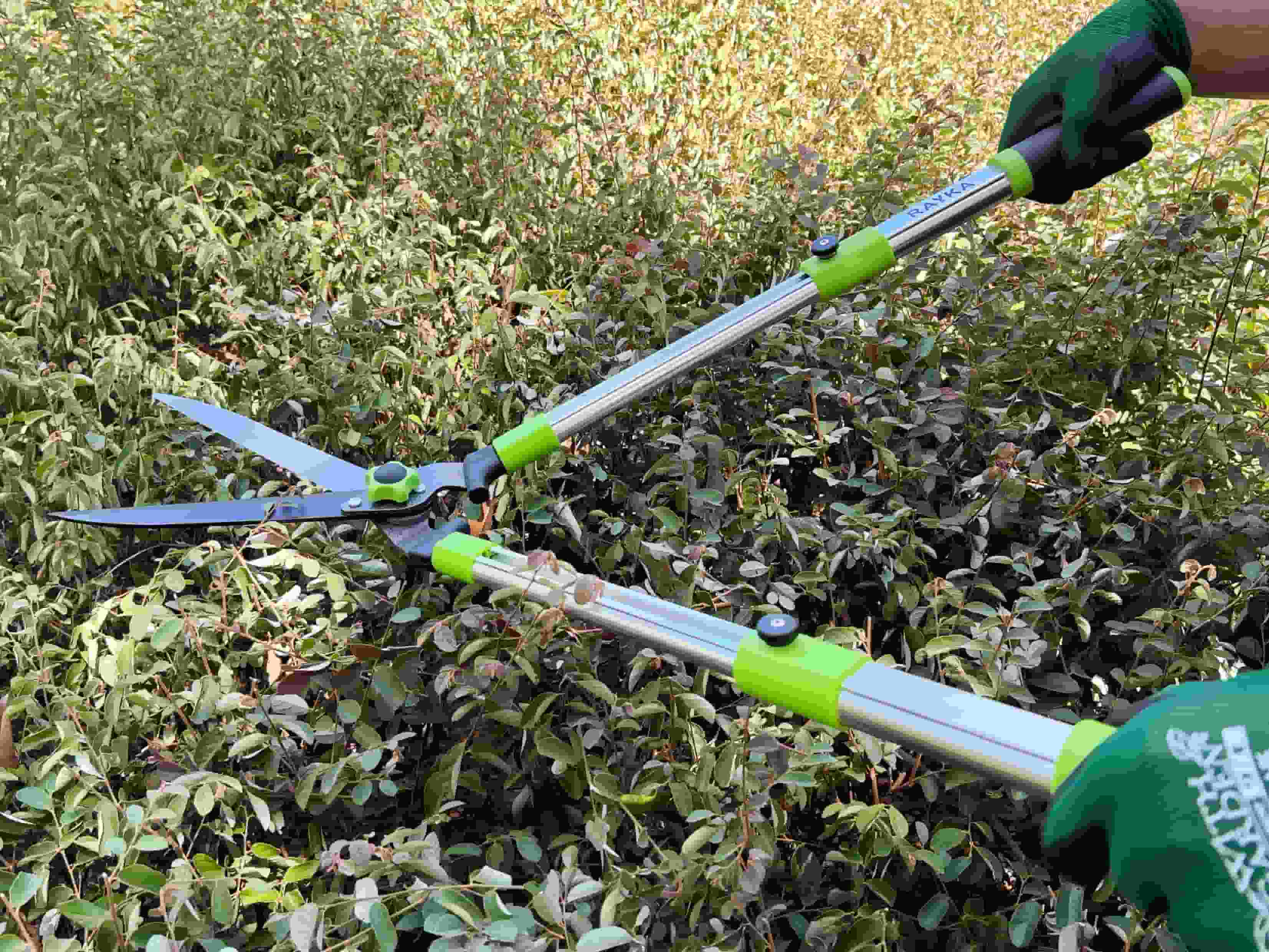 Telescopic hedge shear application1