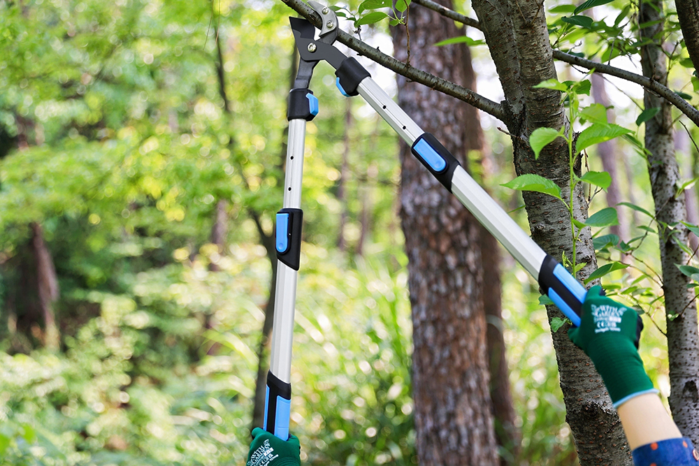 hand pruner application1