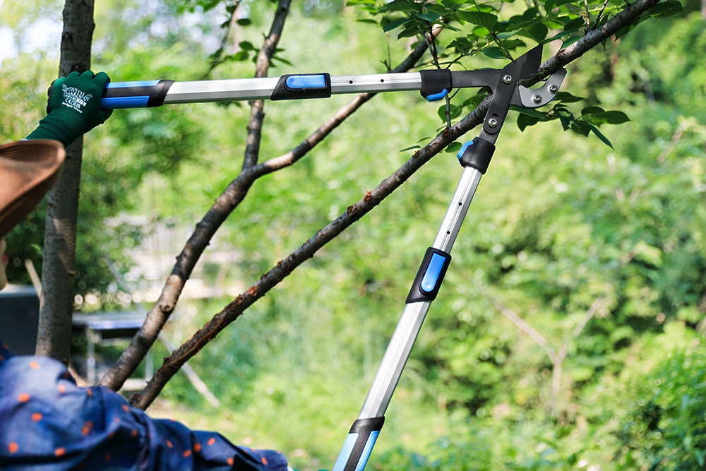 hand pruner application1