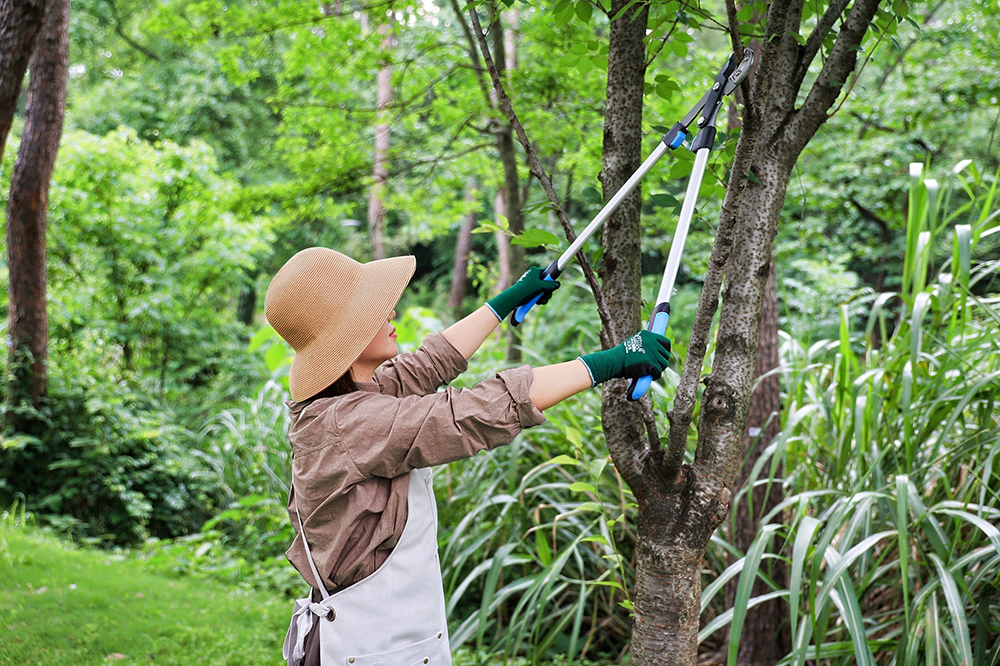 hand pruner application1