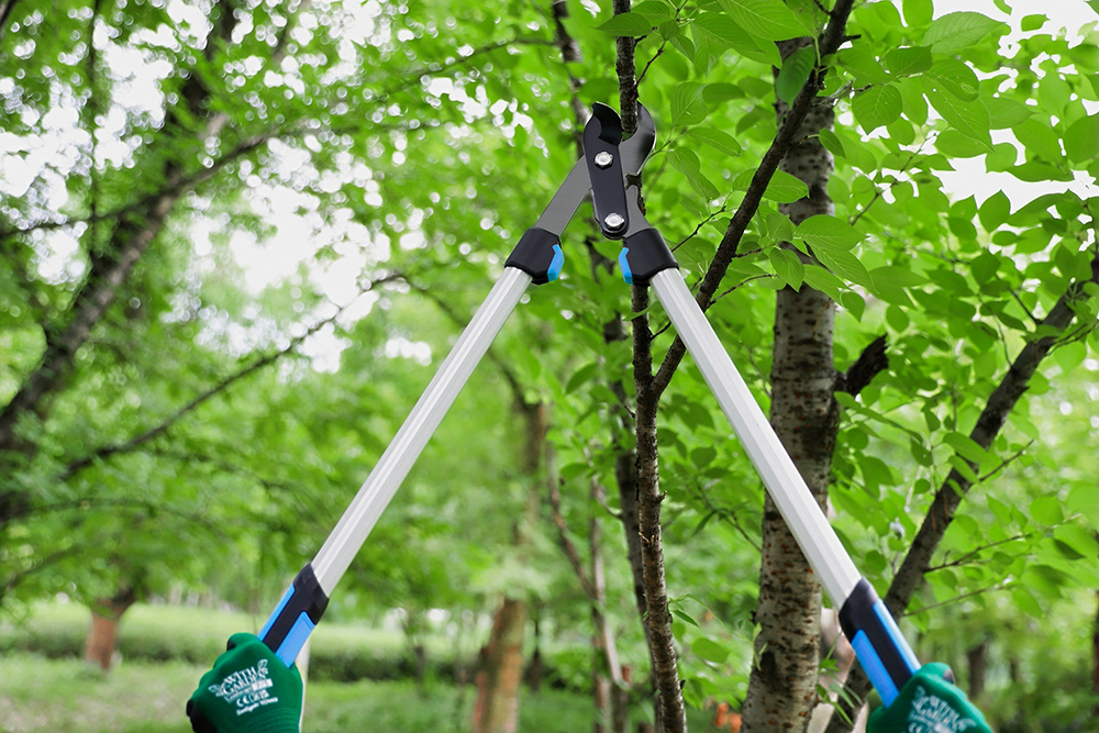 hand pruner application1