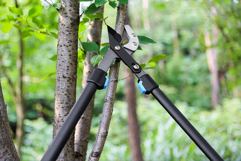 hand pruner application1