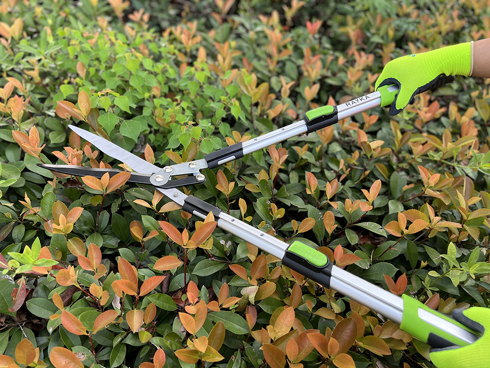 Hedge shear application1