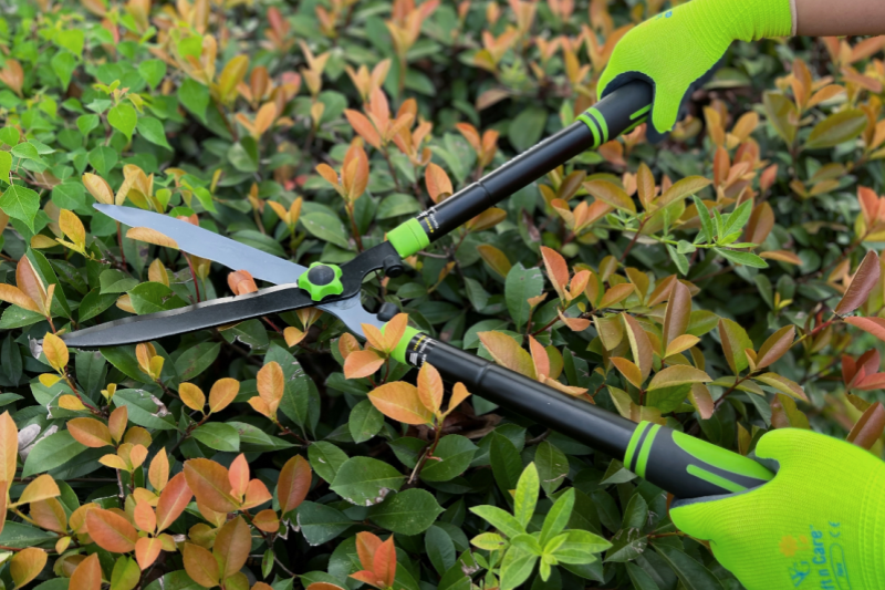 hedge shears supplier 03.png