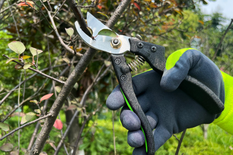 garden shear manufacturer 05.png