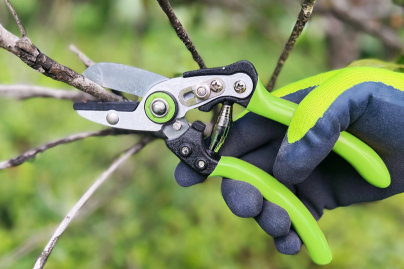 Analyzing The Human-Centered Design of Gardening Tool Sets