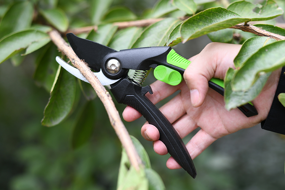 hand pruner application1