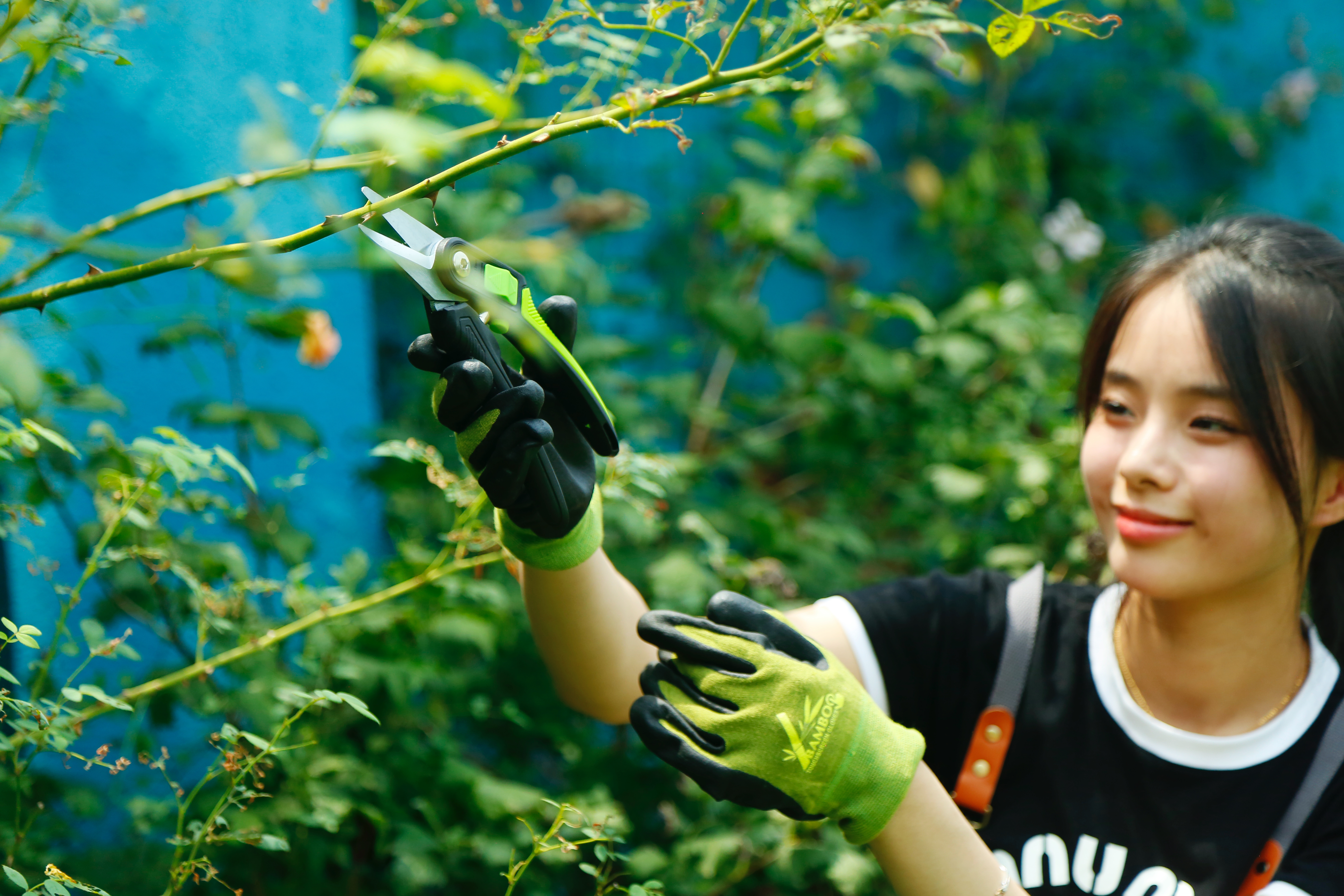 hand pruner application2