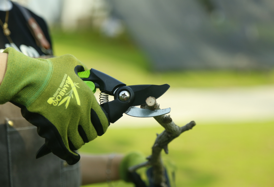 hand pruner application3