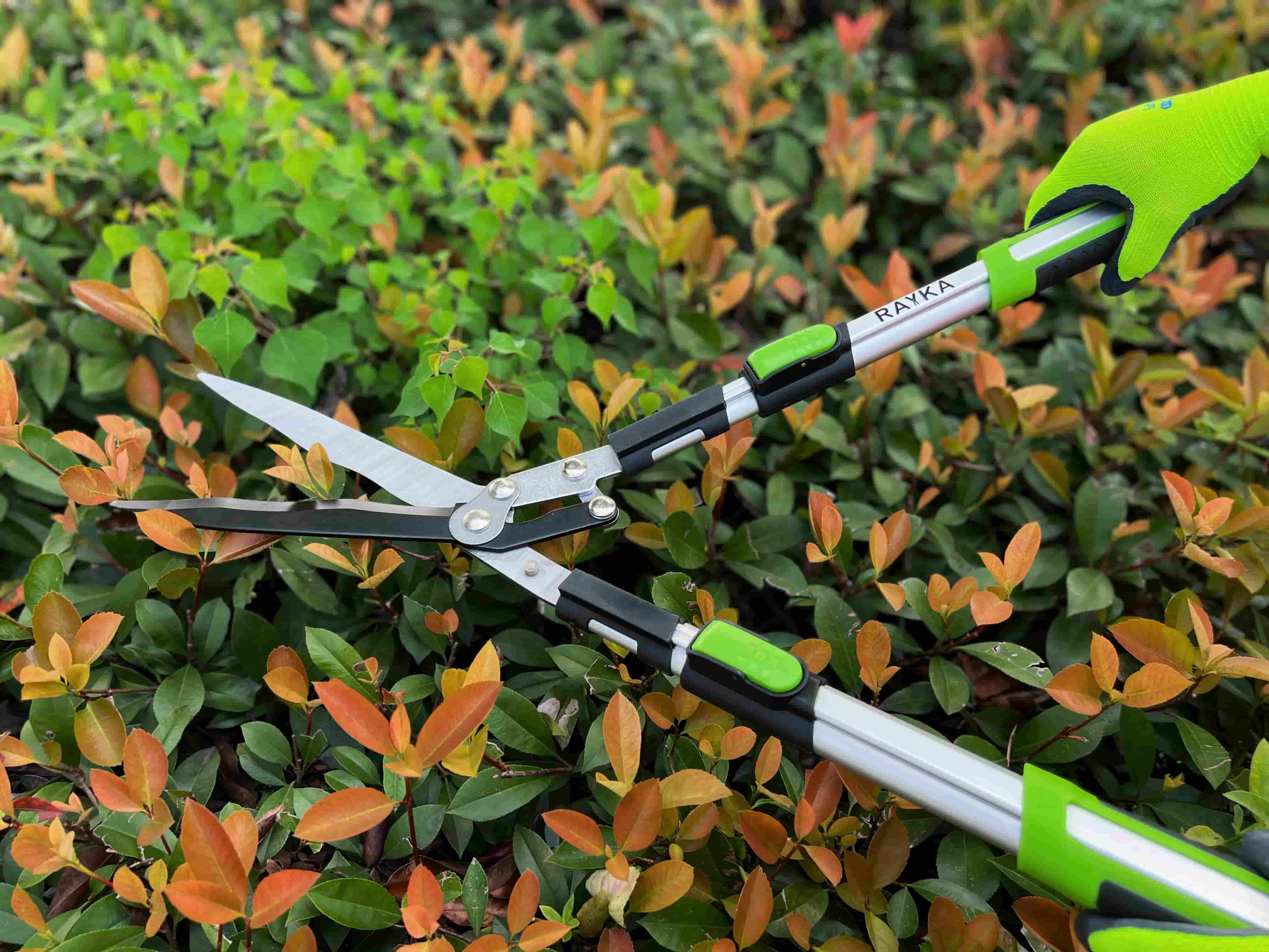Telescopic lopper with Teflon blade